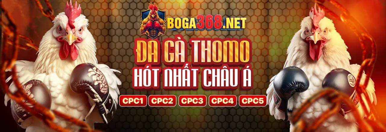 Sân chơi đá gà trực tuyến đỉnh cao tại Cwin666 chính thức