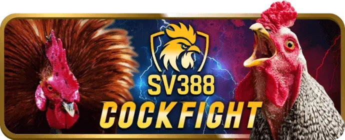 Sự kiện đặc biệt và giải đấu cwin666 chính thức